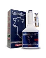 Aminofort Vitafort - 250 mL Eurofarma